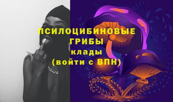 меф Майский