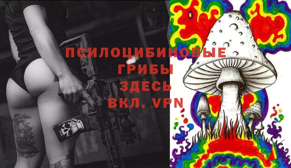 2c-b Липки