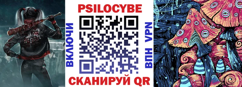 наркошоп Краснозаводск MEGA ССЫЛКА Галлюциногенные грибы Magic Shrooms